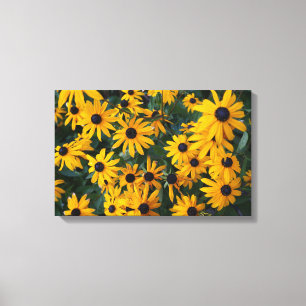 Black-eyed Susan Flowers Canvas