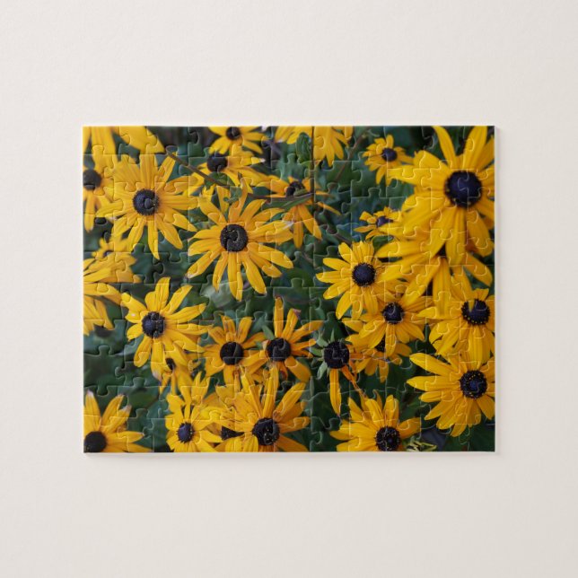 Black-eyed Susan Flowers Jigsaw Puzzle (Horizontal)