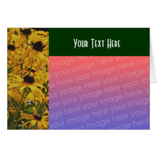 Black Eyed Susan Flowers Photo Card