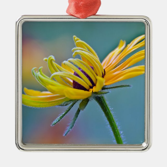 Black-eyed Susan Metal Tree Decoration (Front)