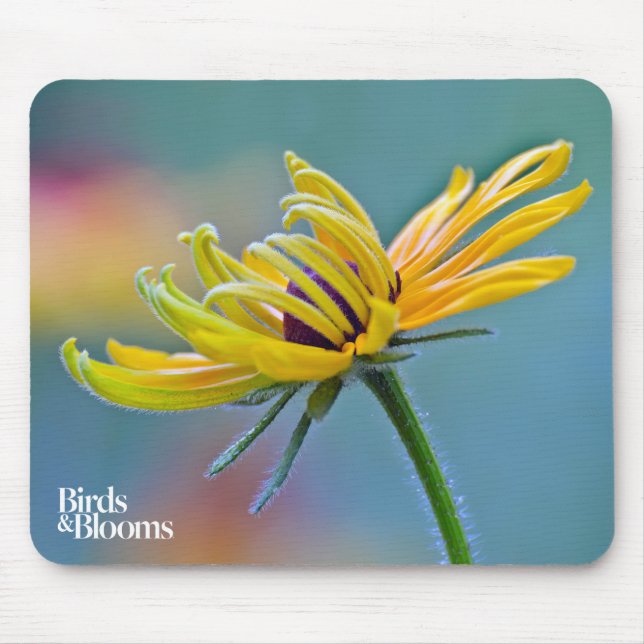 Black-eyed Susan Mouse Mat (Front)