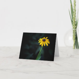 Black-Eyed Susan Note Card