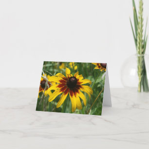 Black-eyed Susan Note Card