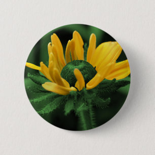 Black Eyed Susan On Green Flower 6 Cm Round Badge