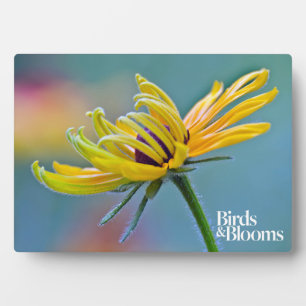 Black-eyed Susan Plaque