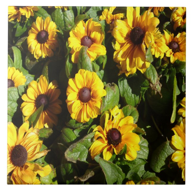 Black Eyed Susan Tile