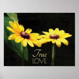 Black Eyed Susan True Love Fine Art Poster