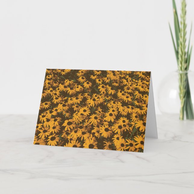 Black Eyed Susan Wild Flowers Daisy Garden Yellow Card (Front)