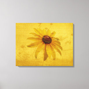 Black-Eyed Susan Wildflower Canvas Print