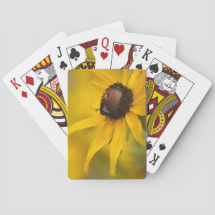 Black-Eyed Susan with a Teardrop Playing Cards