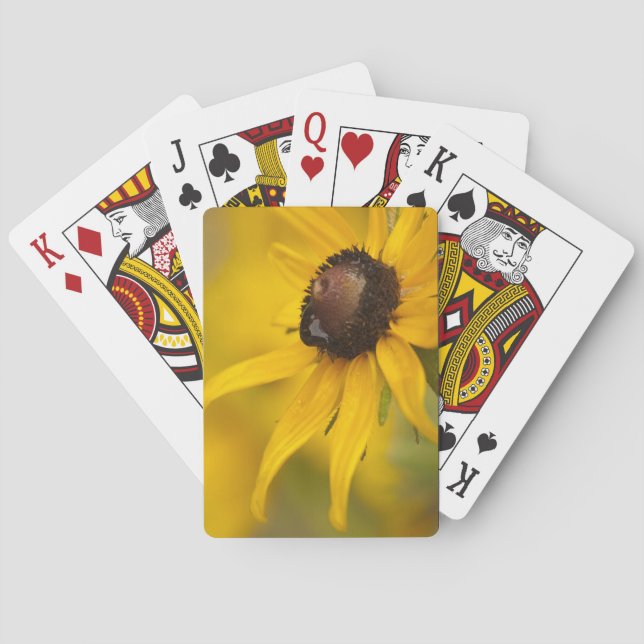Black-Eyed Susan with a Teardrop Playing Cards (Back)