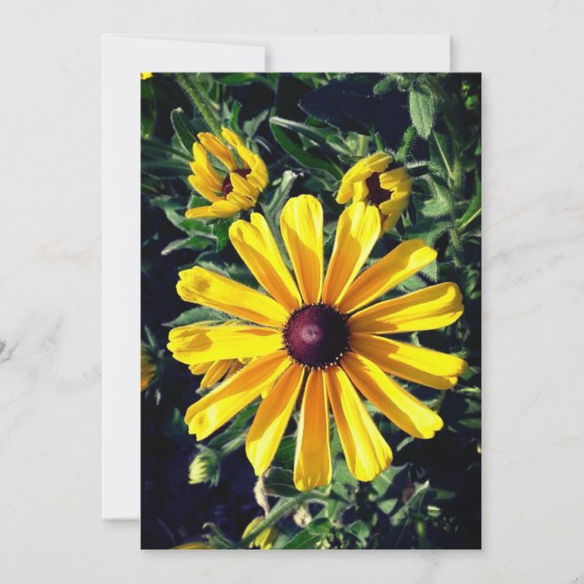 Black-Eyed Susan Yellow Flower Card (Front)