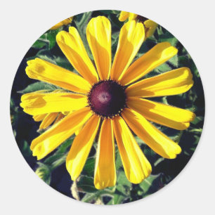 Black-Eyed Susan Yellow Flower Classic Round Sticker