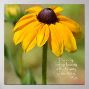 Black Eyed Susan Yellow Flower Rumi quote Poster