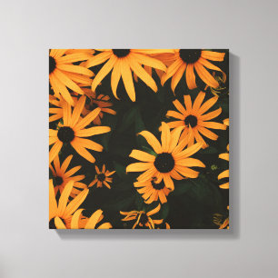 black eyed susans canvas print