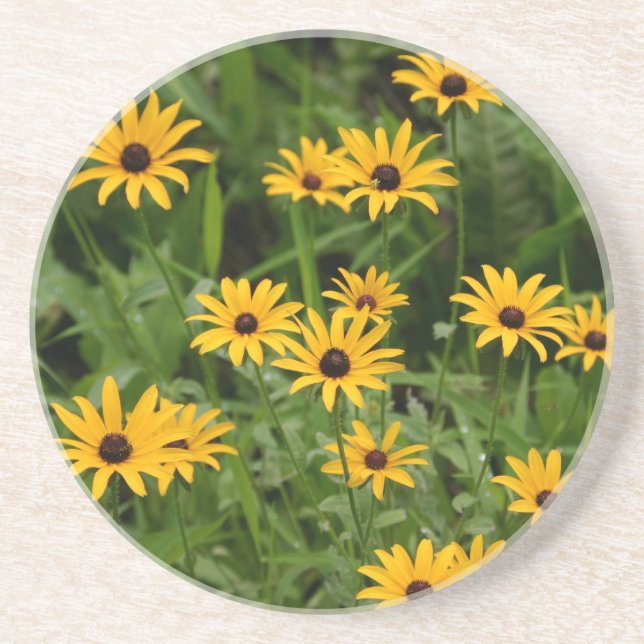 Black-Eyed Susans coasters (Front)