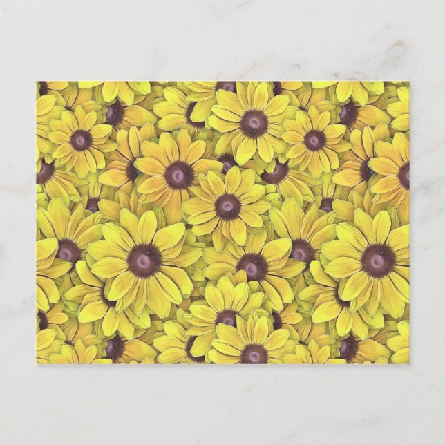 Black Eyed Susans Everywhere Postcard (Front)