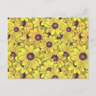 Black Eyed Susans Everywhere Postcard