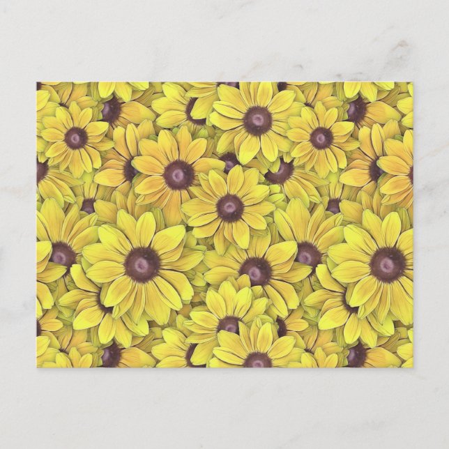 Black Eyed Susans Everywhere Postcard (Front)