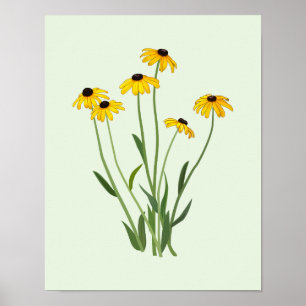 Black Eyed Susans Flower Fine Art Poster