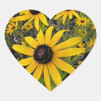 Black Eyed Susans Heart Sticker