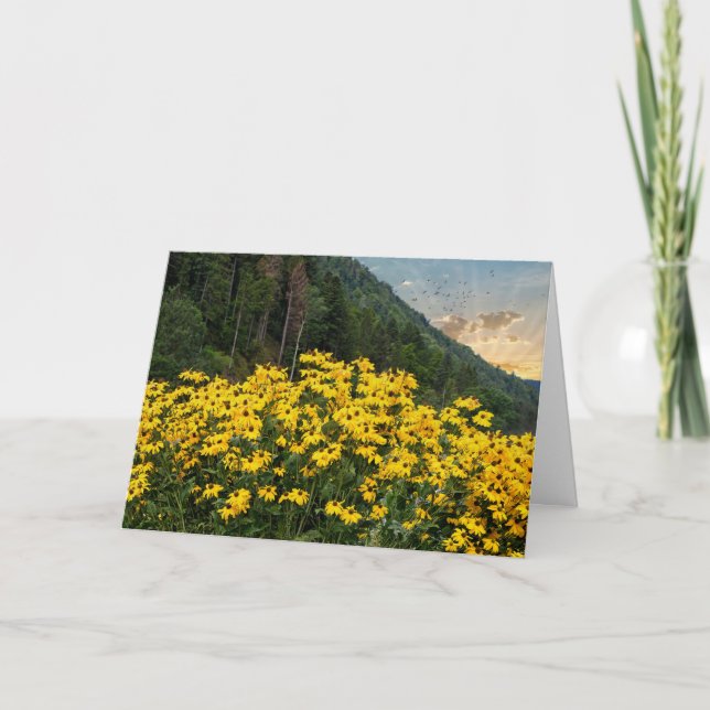 Black-eyed Susans in mountains Card (Front)