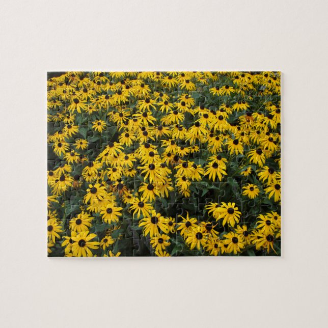 Black-Eyed Susans Jigsaw Puzzle (Horizontal)