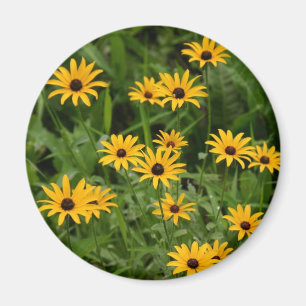 Black-Eyed Susans magnet