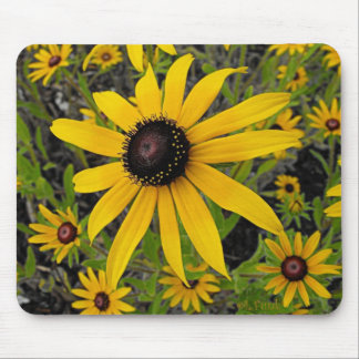 Black Eyed Susans Mouse Mat