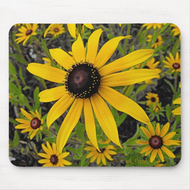 Black Eyed Susans Mouse Mat (Front)