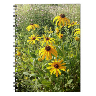 Black-eyed Susans Notebook