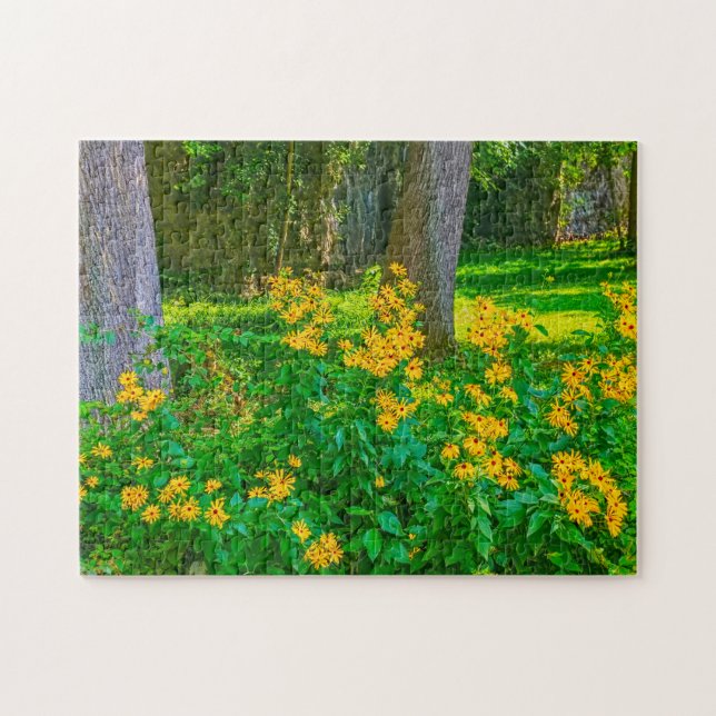Black Eyed Susans Ohio. Jigsaw Puzzle (Horizontal)