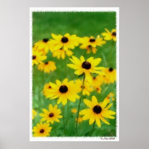 Black Eyed Susans Poster