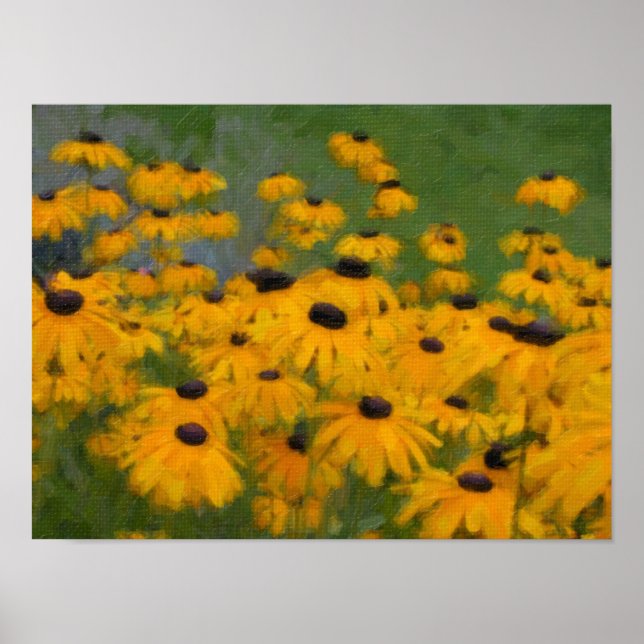 Black Eyed Susans Poster (Front)