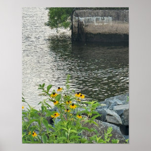 Black-eyed Susans River Poster