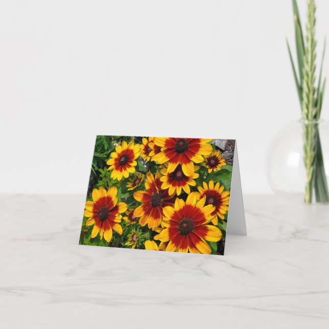 Black-eyed Susans Thank You Card (Front)