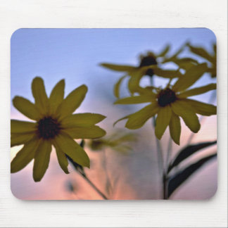 Black-eyed Susans White flowers Mouse Mat