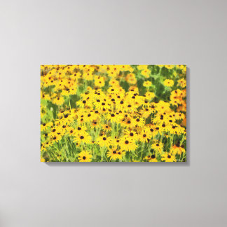 Black Eyed Susans Wrapped Canvas Art Print