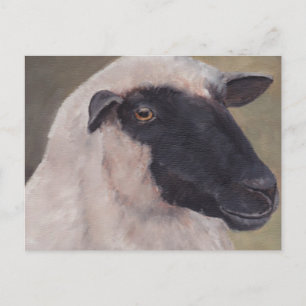 Black Face Sheep Art Postcard