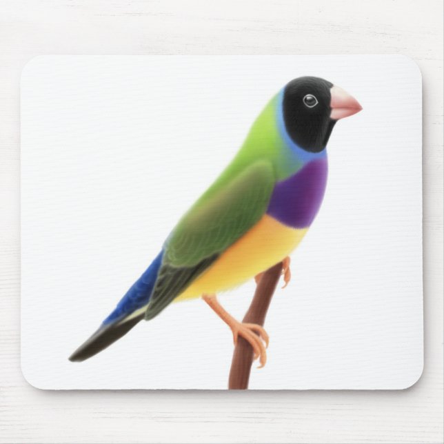 Black Faced Gouldian Finch Mousepad (Front)