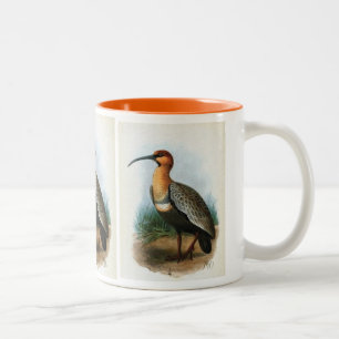 Black-faced Ibis Vintage Illustration Two-Tone Coffee Mug