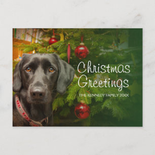 Black female Labrador Retriever Holiday Postcard