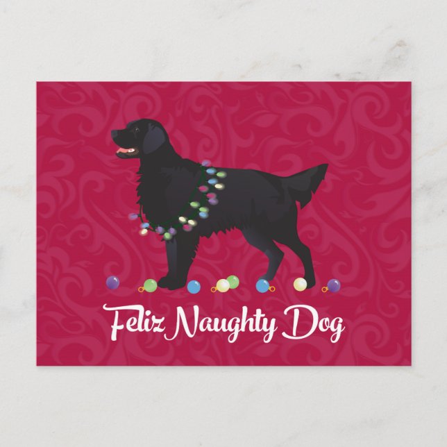 Black Flat Coated Retriever Feliz Naughty Dog Postcard (Front)