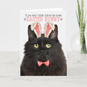 Black Fluffy Cat in Bunny Ears for Easter Holiday Card