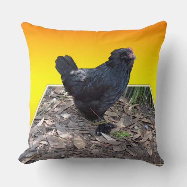 Black Fluffy Chicken On Yellow Popout Big Cushion. Cushion (Front)