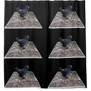 Black Fluffy Rooster, Shower Curtain