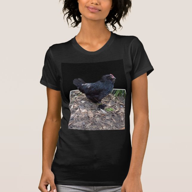 Black Fluffy Rooster, T-Shirt (Front)