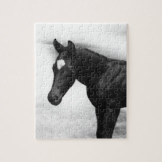 Black Foal Puzzle