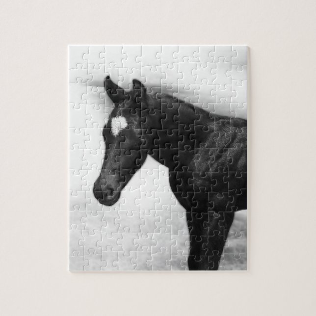 Black Foal Puzzle (Vertical)