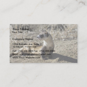 Black-Footed Ferret (captive) Business Card